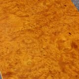 50s modernist coffee table in elm burl veneer