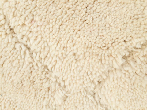 Berber carpet Beni Ouarain beige with dug patterns - 320x205cm