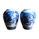 Pair of blue and white chinese vases
