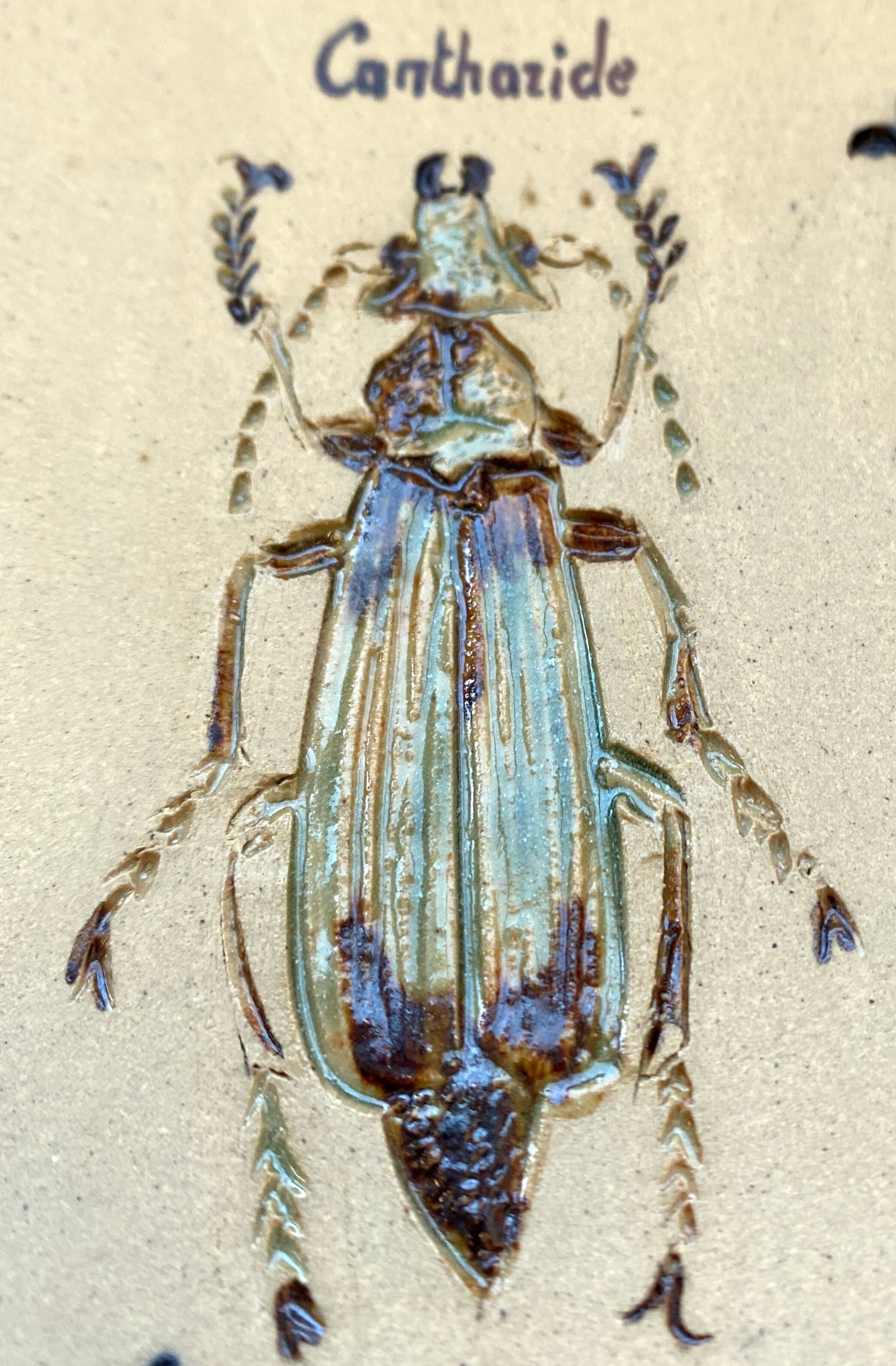 Bas relief painting / earth Beetle entomology A. Prudhomme Cabinet of curiosities