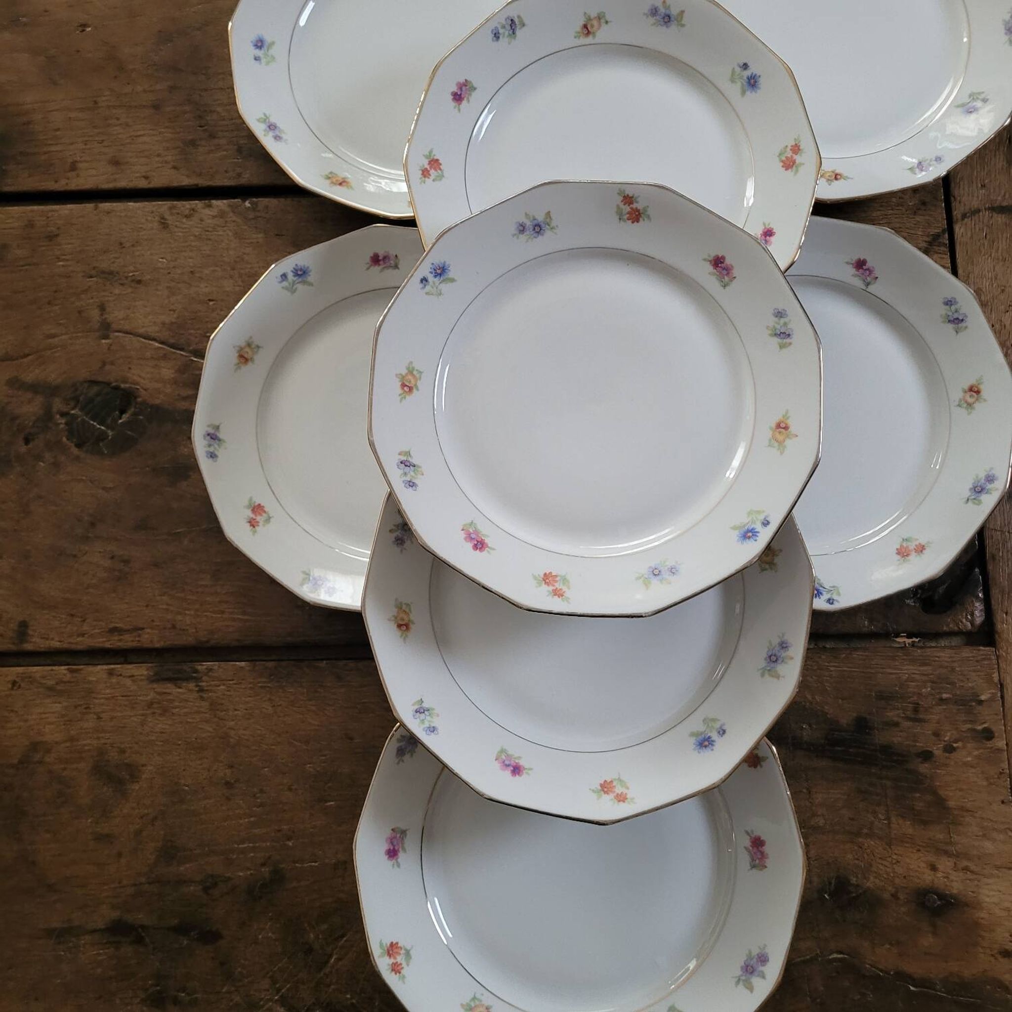 Twelve-panel floral plates

1960s.
