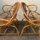 Pair of rattan shell armchairs 60s
