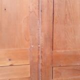 Paire de portes coulissantes 100.8x234cm anciennes