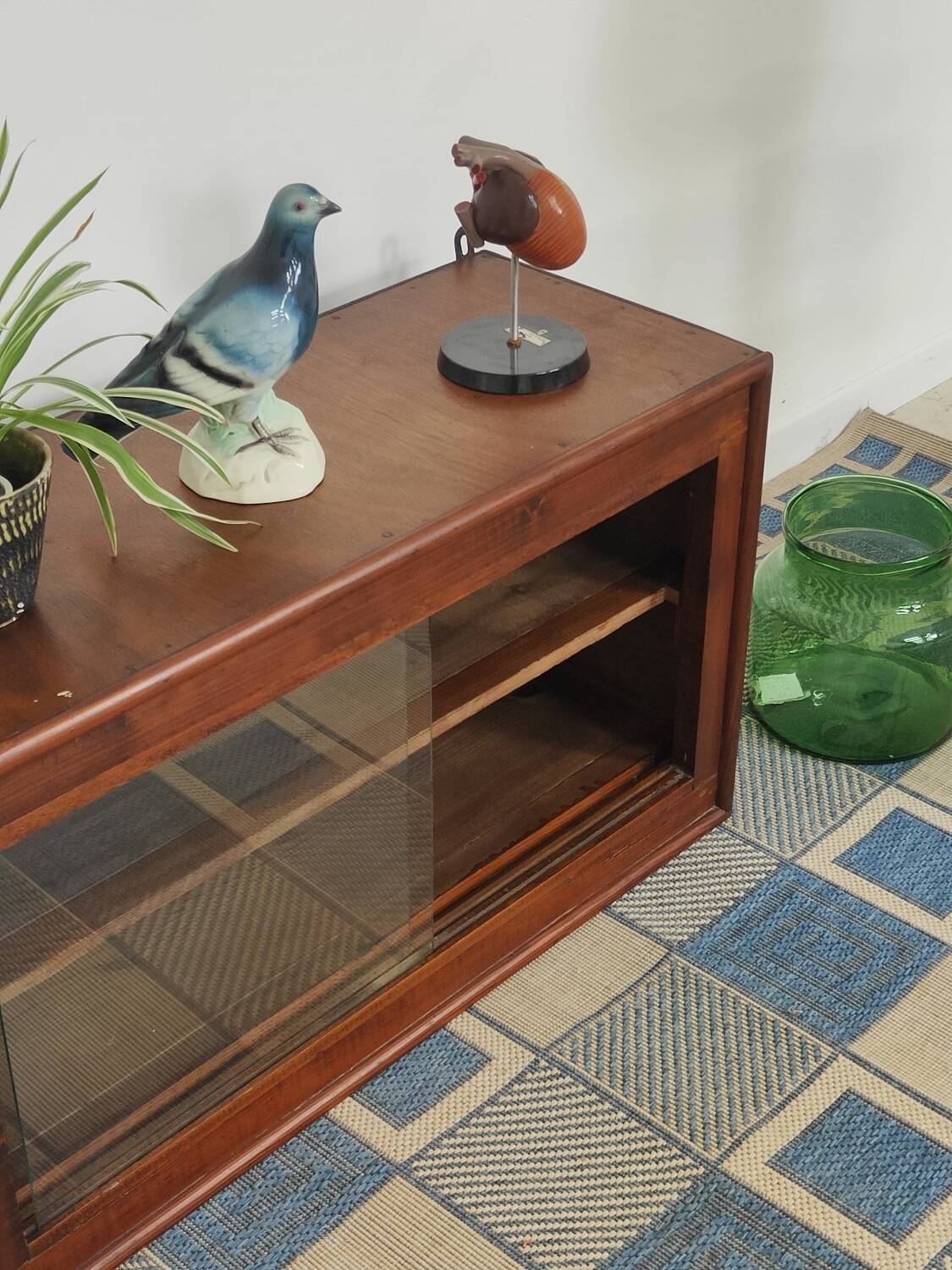 Small display case or glass wall shelf