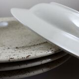 Speckled sandstone plates