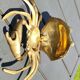 brass jewelry vintage box