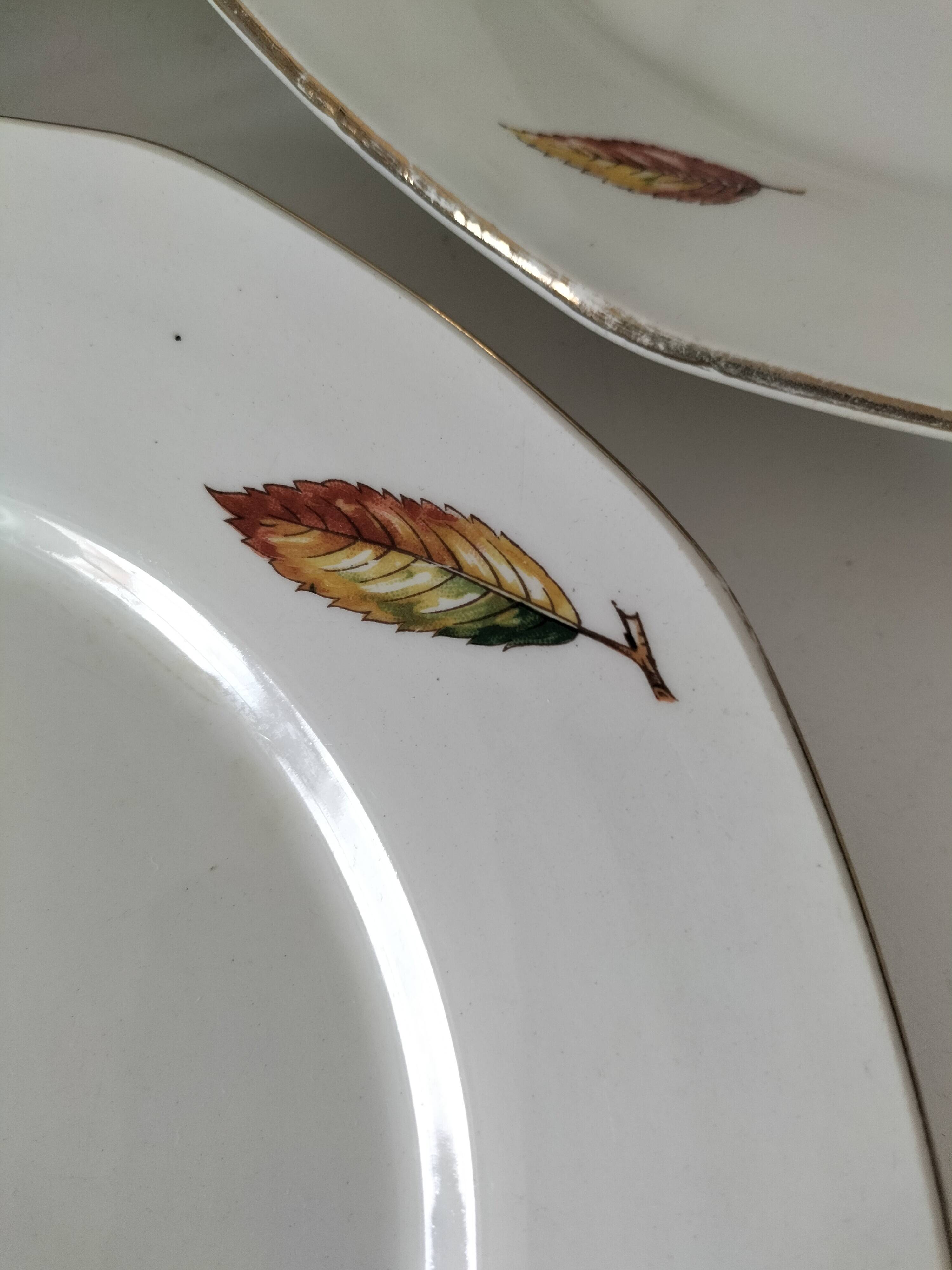 7 assiettes plates et creuses en faïence opaque Digoin Sarreguemines Nemours