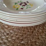 7 hollow earthenware plates from Salins