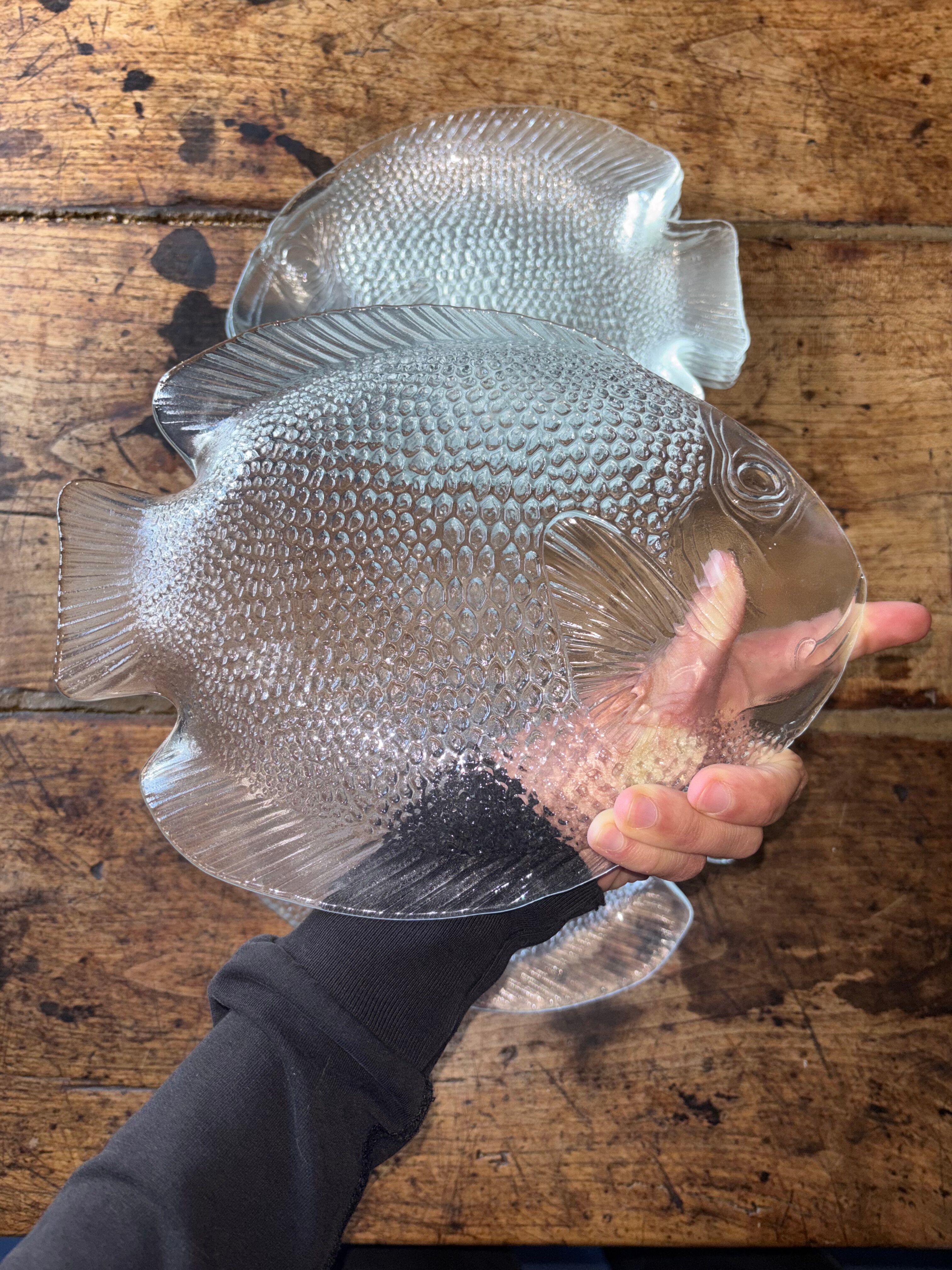 8 fish plates Arcoroc