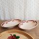 Lot de 2 raviers Badonviller France Pornichet vintage