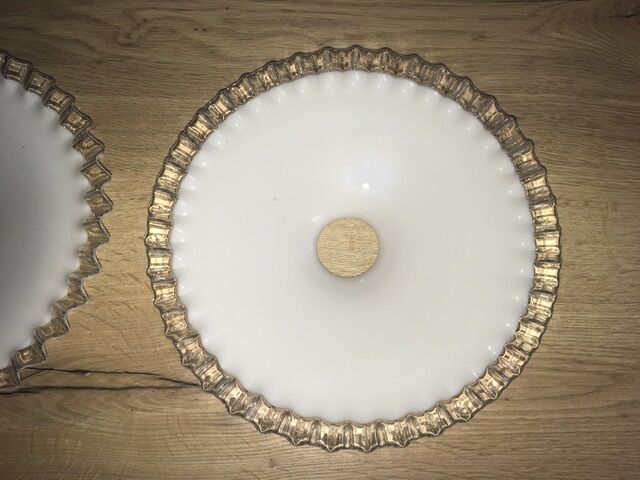 2 opalines for hanging lamp