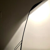 Dove desk lamp by Marco Colombo and Mario Barbaglia 1980s