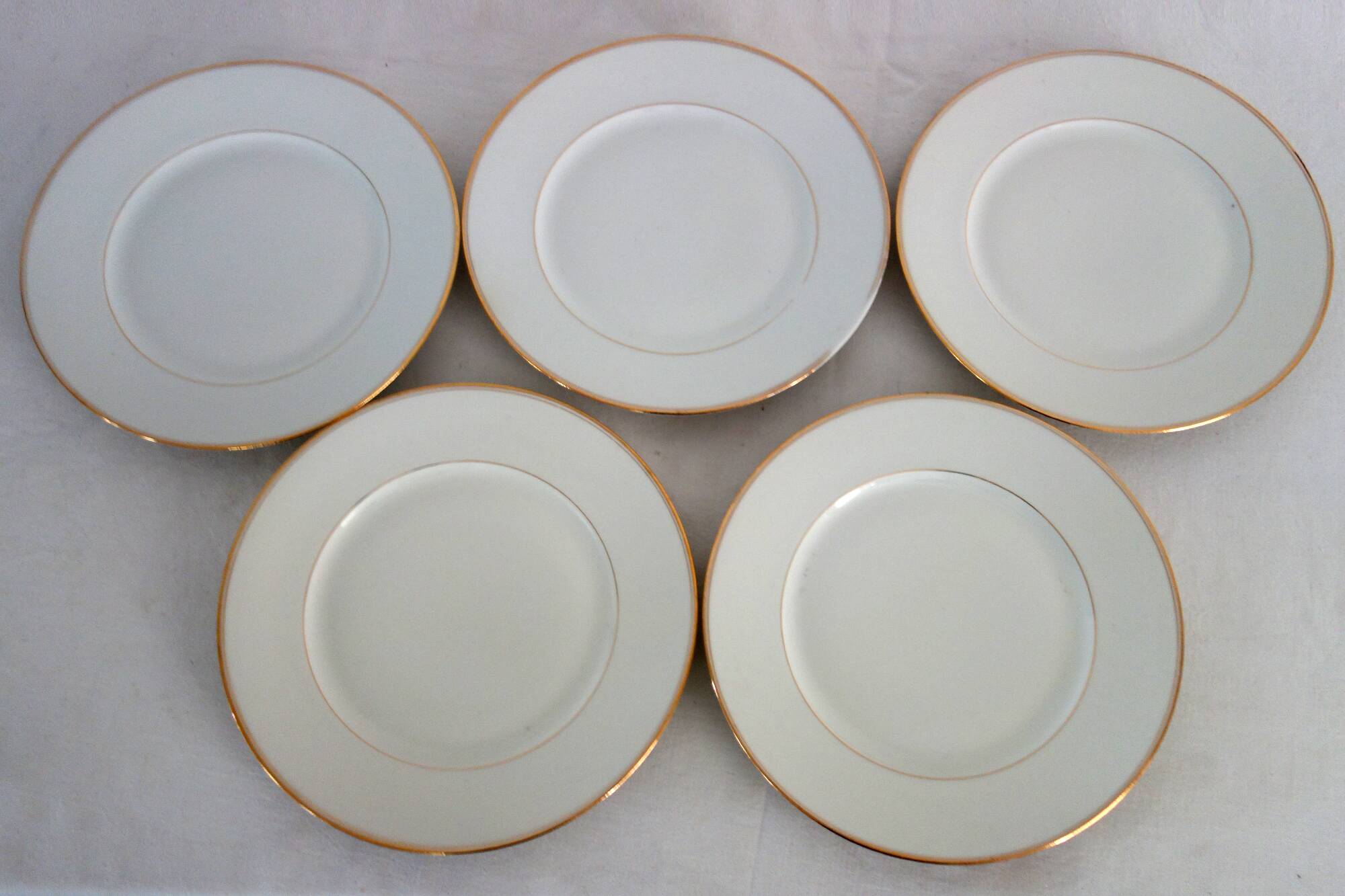 Set of 24 Limoges porcelain dinner plates