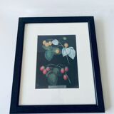 Framed lithograph raspberries