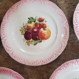 10 plates desert Digoin