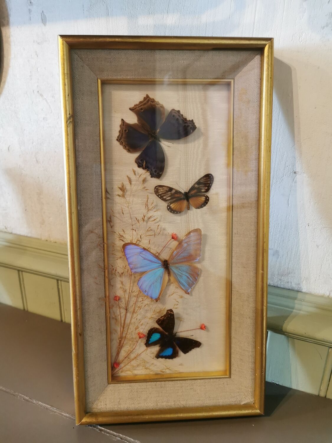 Vintage butterfly frame