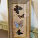 Cadre papillons vintage