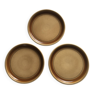 Salins stoneware dinner plates