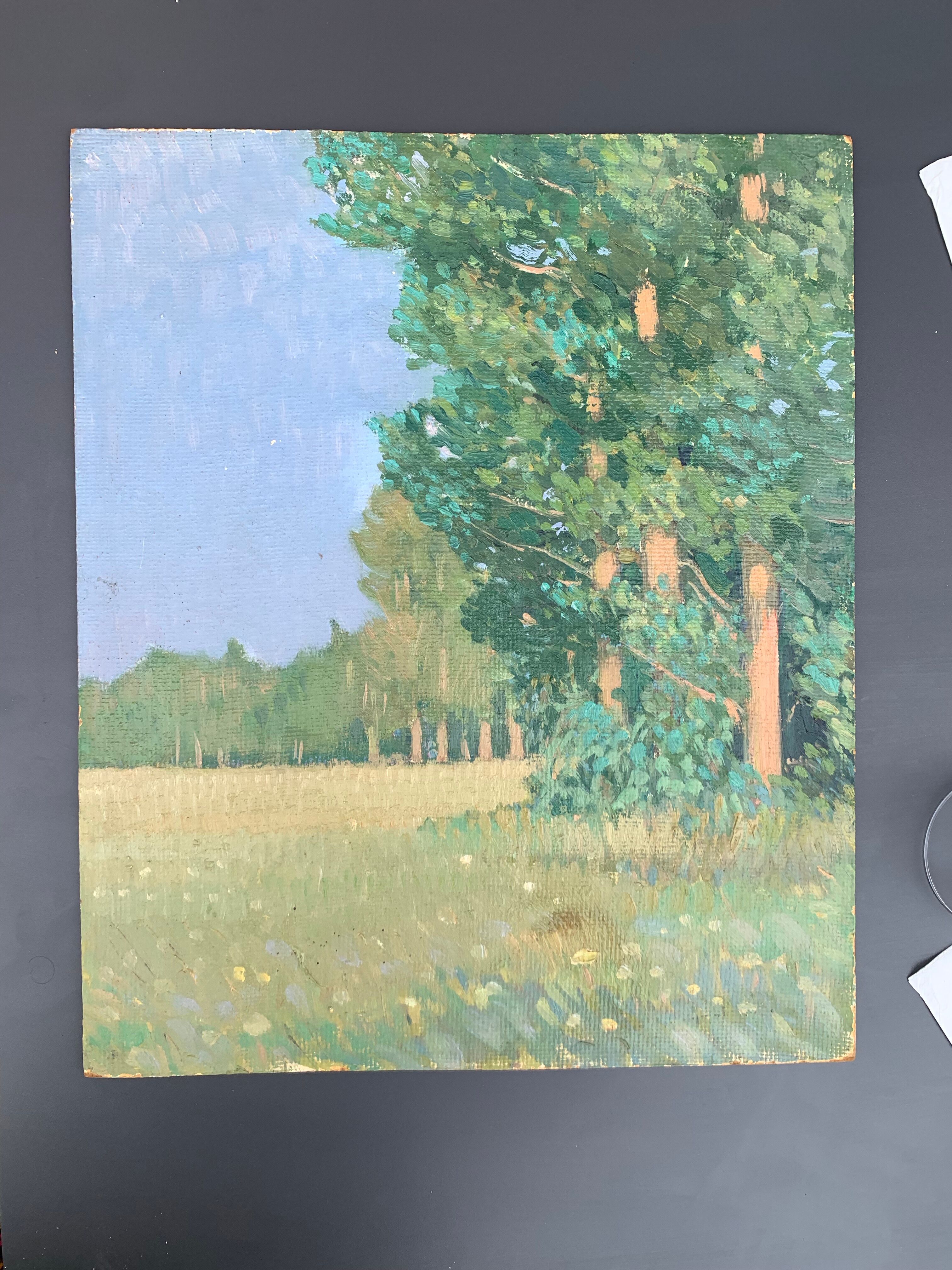 The clearing. Oil on cardboard 1920