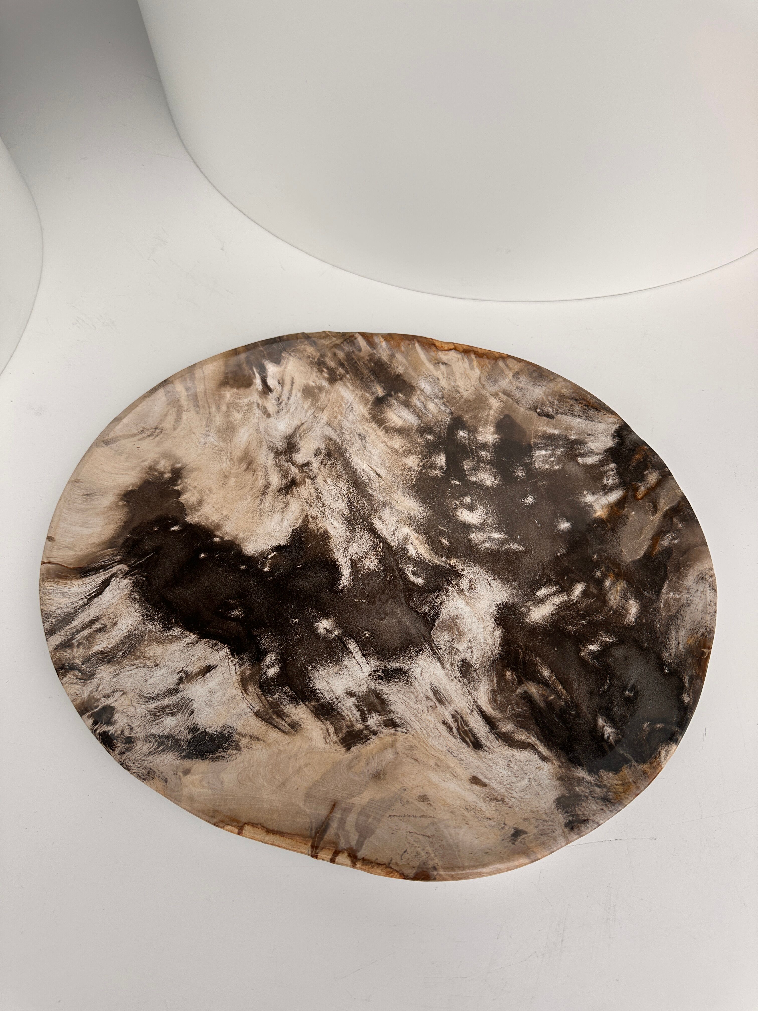 Very large empty pocket or petrified wooden flat