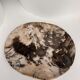 Very large empty pocket or petrified wooden flat