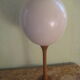 Ostrich Egg And Its Presentation Base