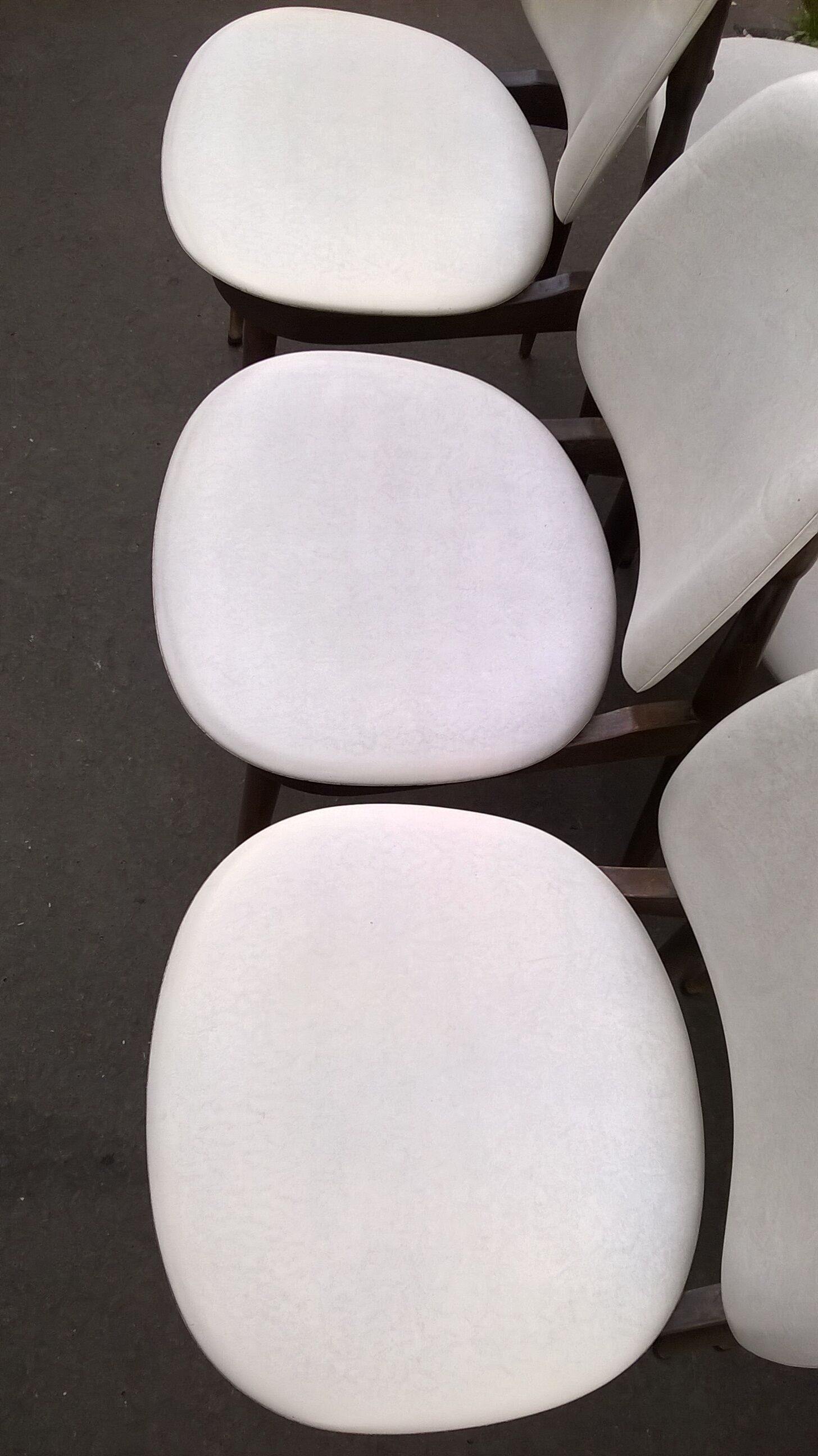 six Baumann Chair model Pegasus