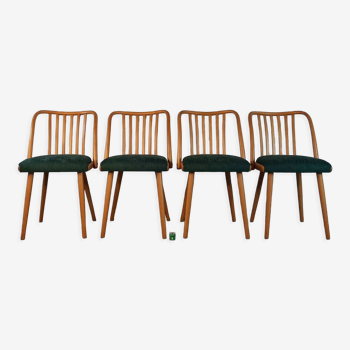 Set 4 chairs renovated design antonin šuman, czech vintage 1960s