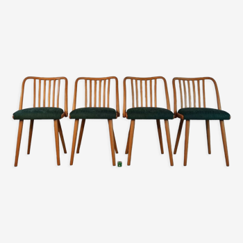 Set 4 chaises rénovées design Antonin Šuman, 1960s