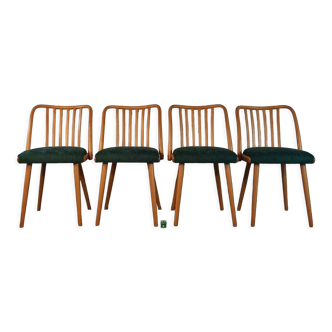 Set 4 chaises rénovées design Antonin Šuman, 1960s