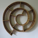 Round snail spiral shelf in sea rush