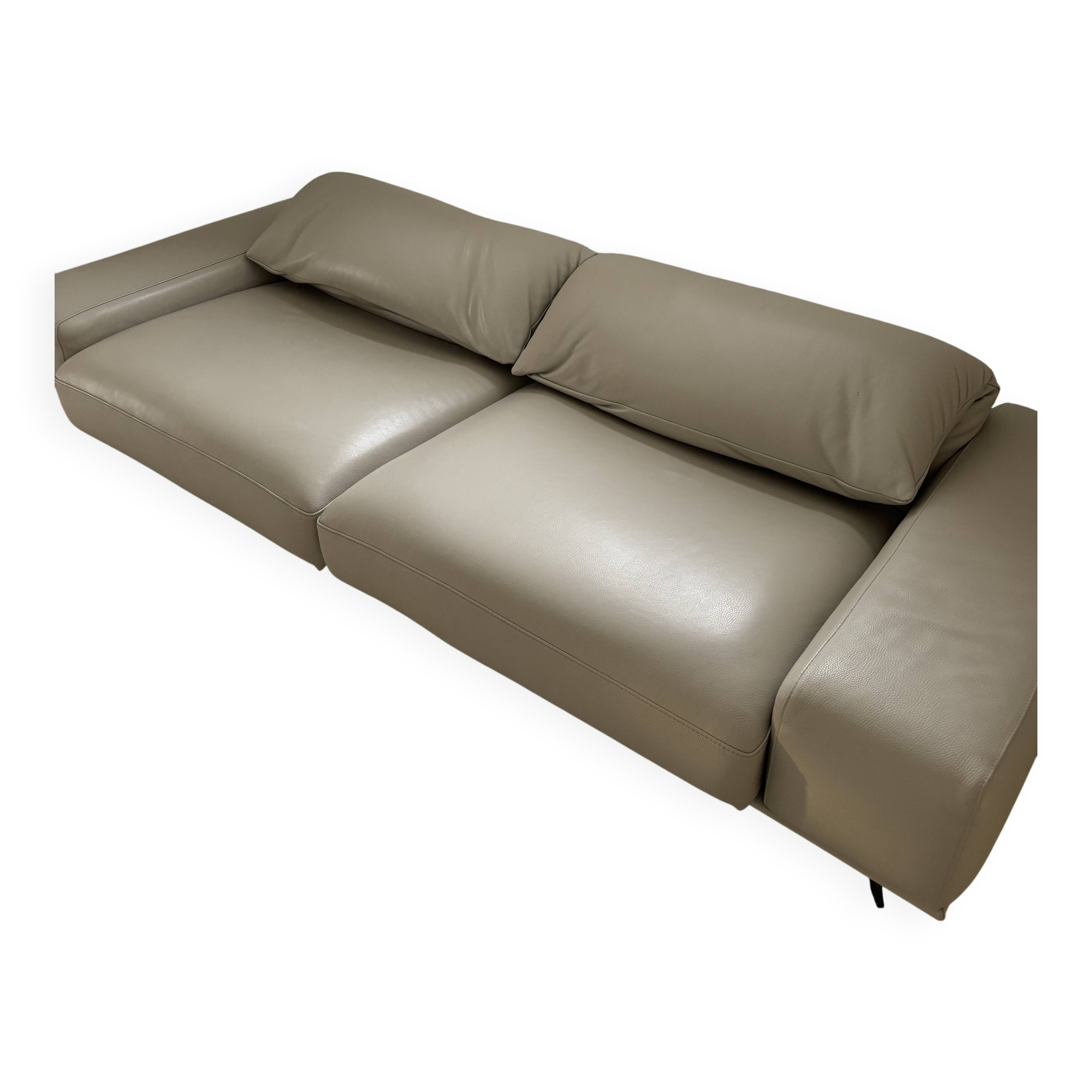 Roche bobois sofa