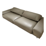 Roche bobois sofa