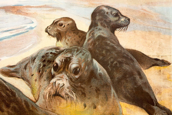 Joint, Educational Grid, 1891