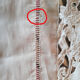 SD-encrypted embroidered sheet