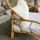 Paire fauteuils rotin