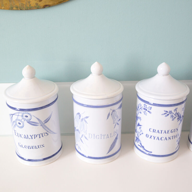 5 pots ceramic pharmacy ceramic earthenware of Longchamp