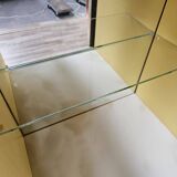 Mid-century 1960s mahogany showcase with glass top