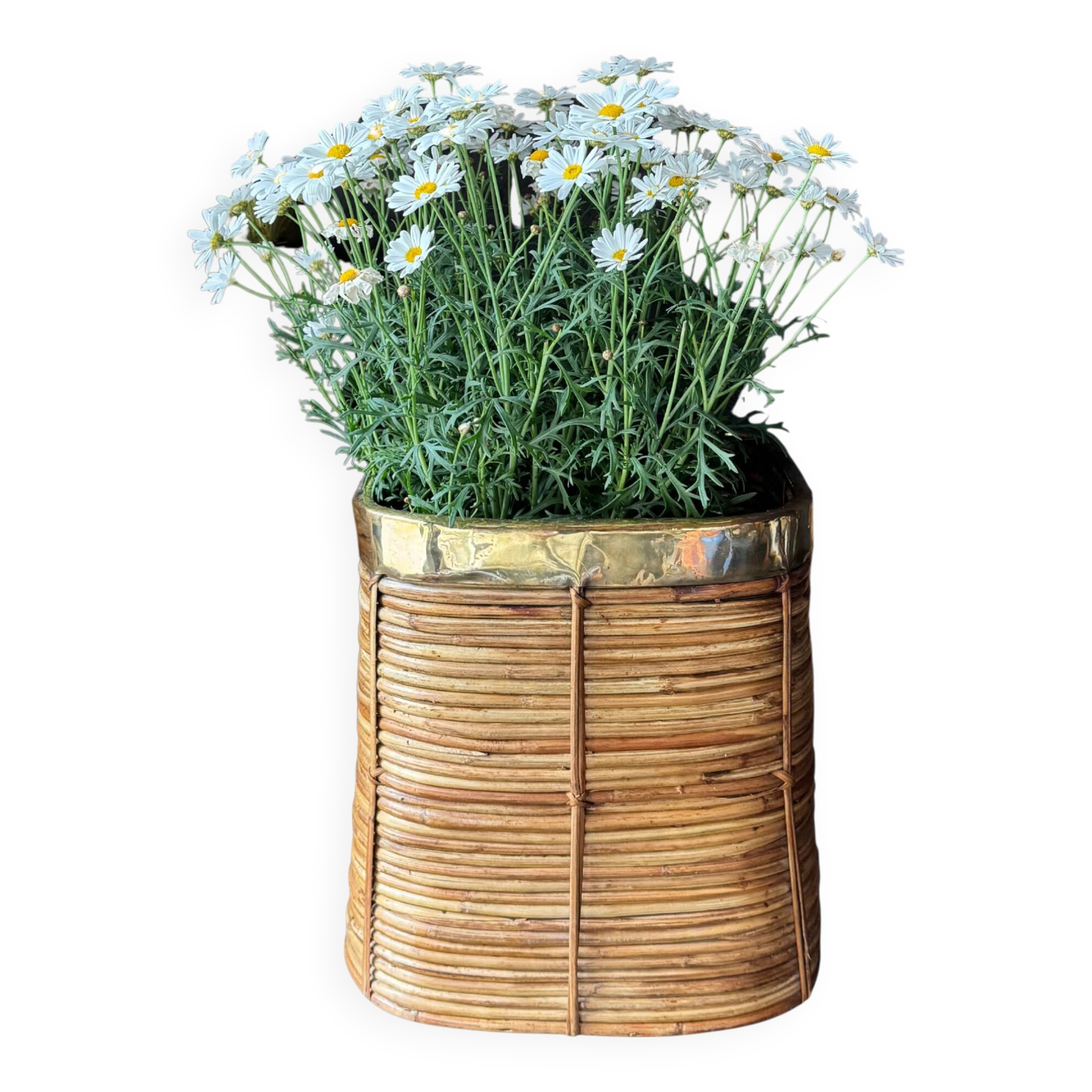 Rattan & Brass Wastepaper Basket | Italy 1970s