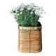 Rattan & Brass Wastepaper Basket | Italy 1970s