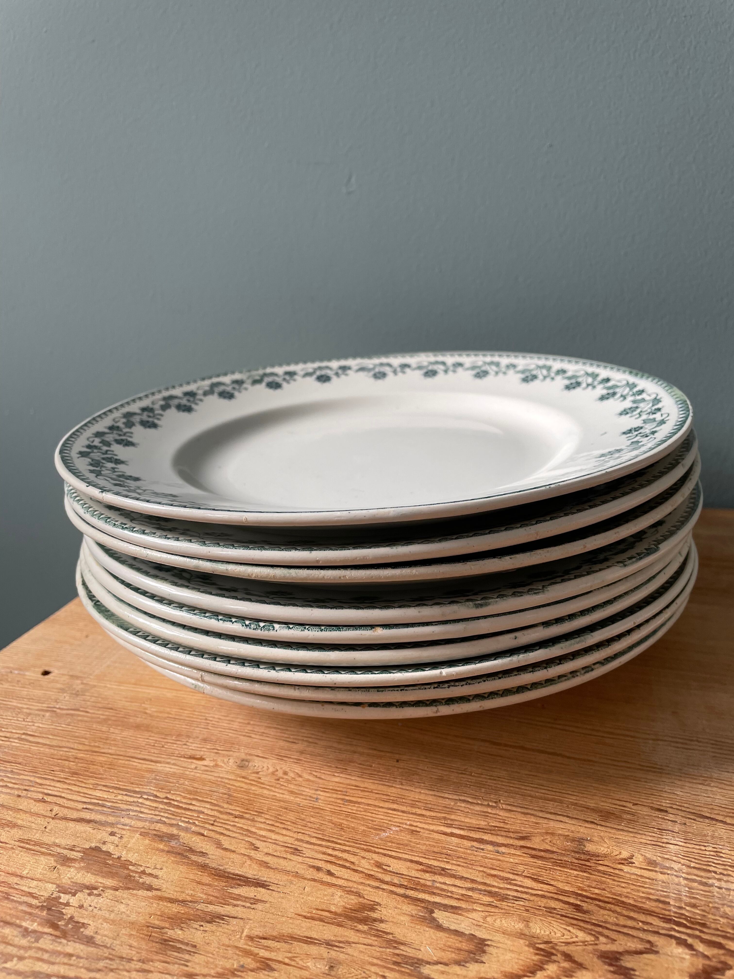 Set of 9 flat plates georgette Moulin des Loups & Hamage collection