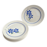 7 dinner plates