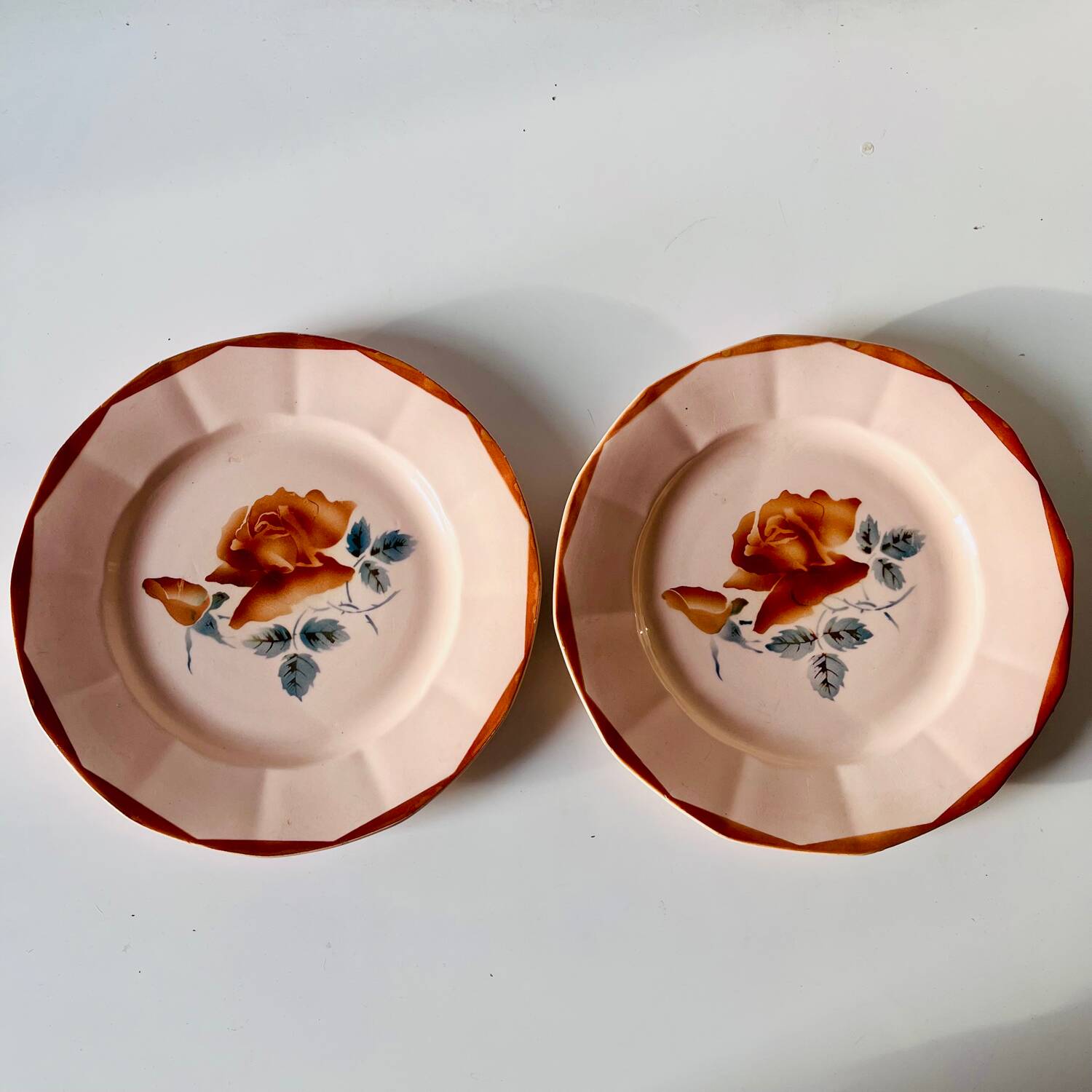 Set of 2 antique Sarreguemines earthenware plates with floral decoration