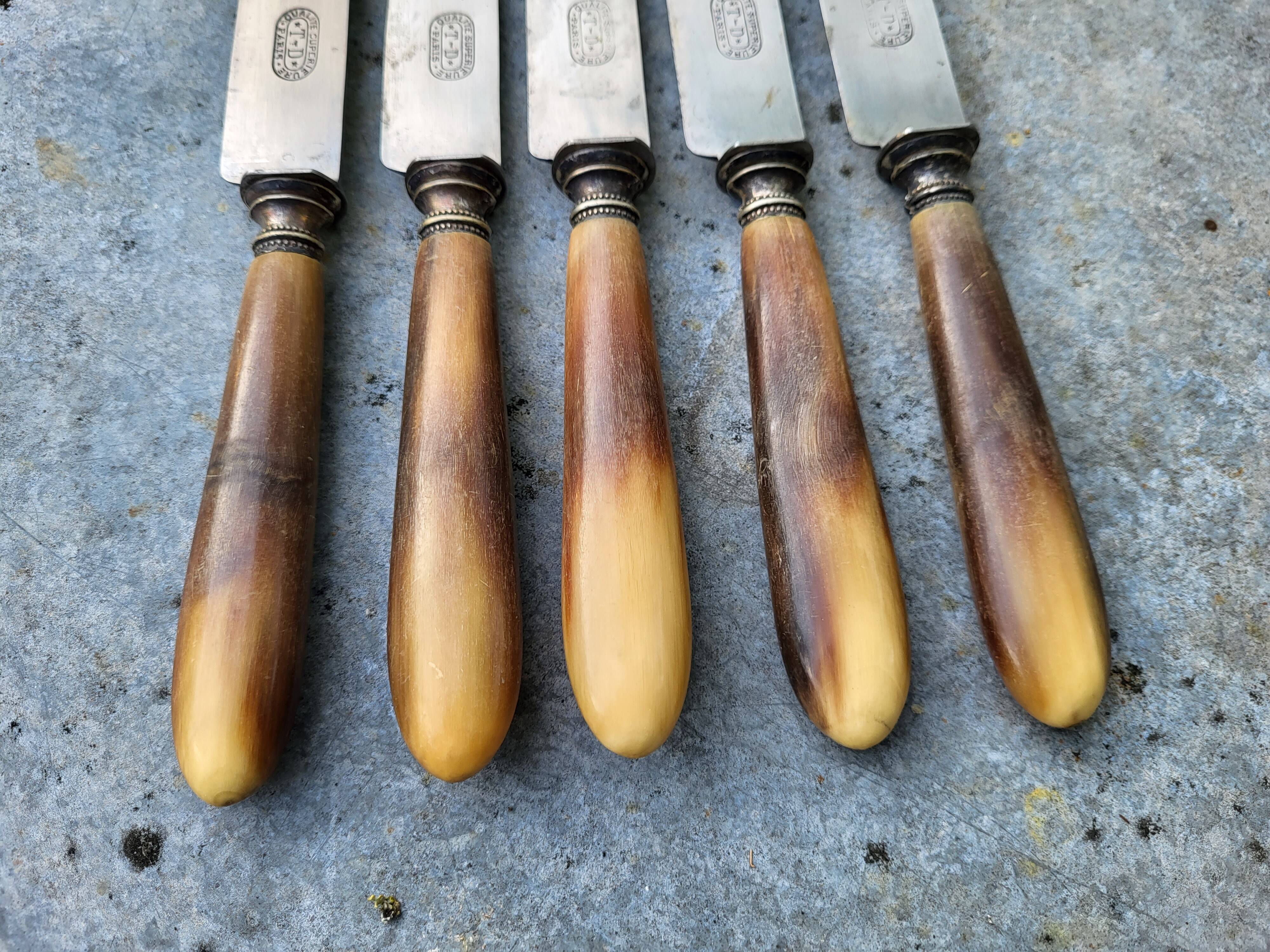 Series of 5 knives steel horn handle