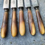 Series of 5 knives steel horn handle