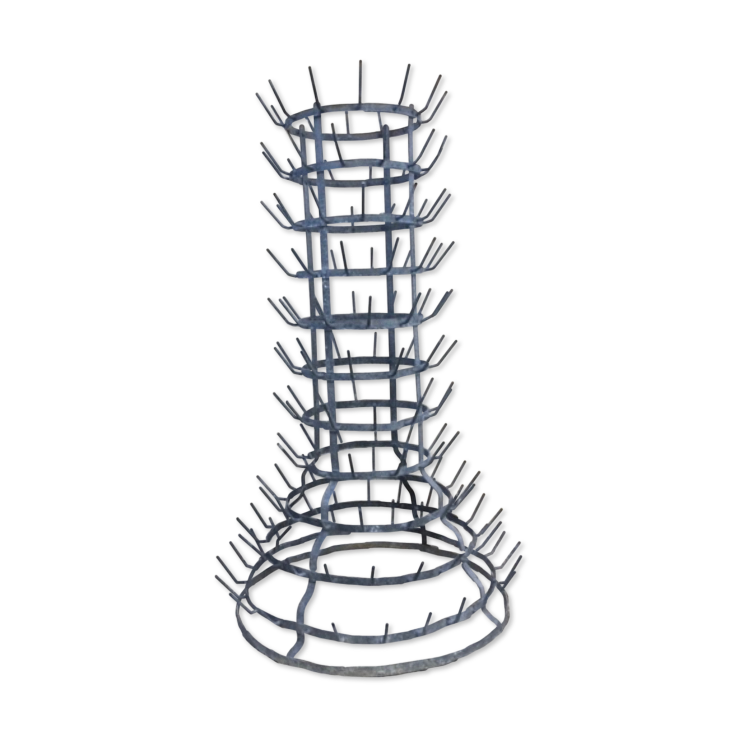 Bottle-borne hedgehog