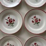 Digoin Sarreguemines plates