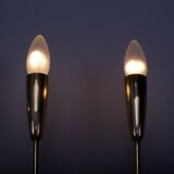 Pair of double brass sconces