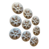 Porcelain oyster plates "The swallow" Melun sur Yevre