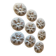 Porcelain oyster plates "The swallow" Melun sur Yevre